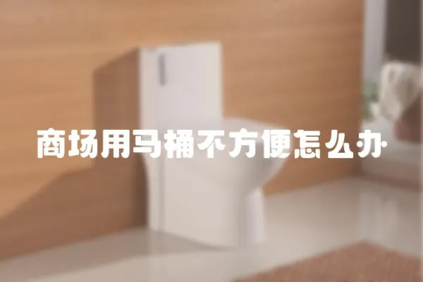 商場(chǎng)用馬桶不方便怎么辦