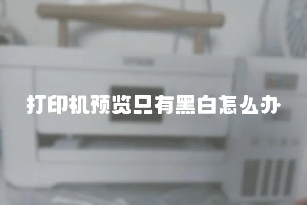 打印機預(yù)覽只有黑白怎么辦