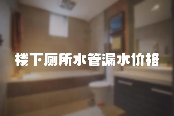 樓下廁所水管漏水價格