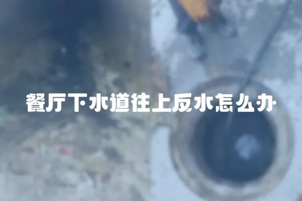 餐廳下水道往上反水怎么辦