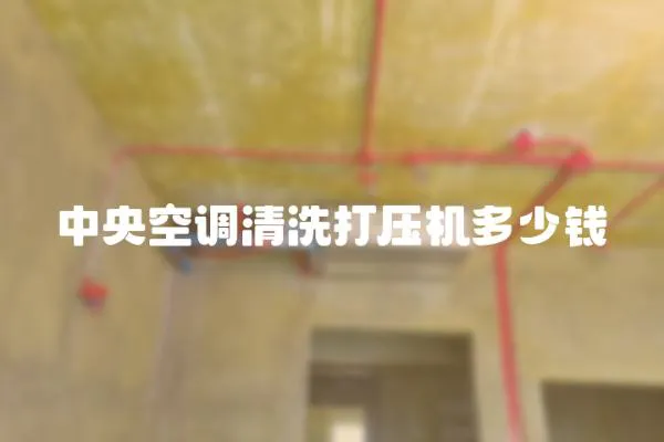 中央空調(diào)清洗打壓機多少錢