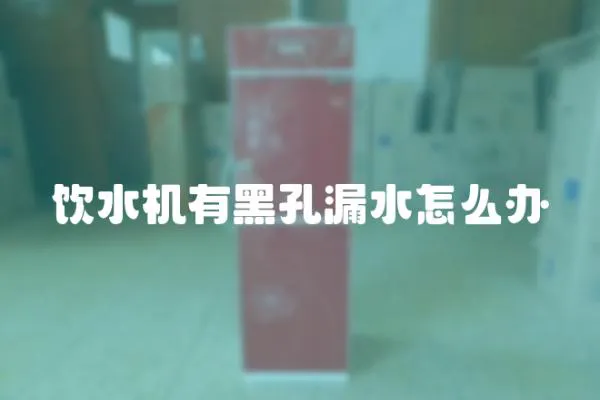 飲水機有黑孔漏水怎么辦