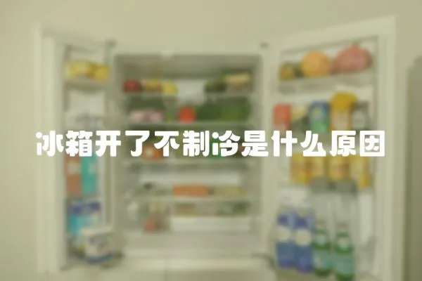 冰箱開了不制冷是什么原因