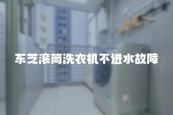 東芝滾筒洗衣機(jī)不進(jìn)水故障