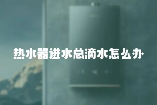 熱水器進水總滴水怎么辦