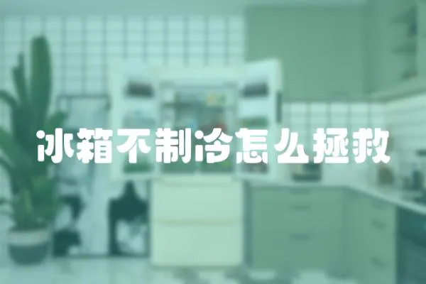 冰箱不制冷怎么拯救