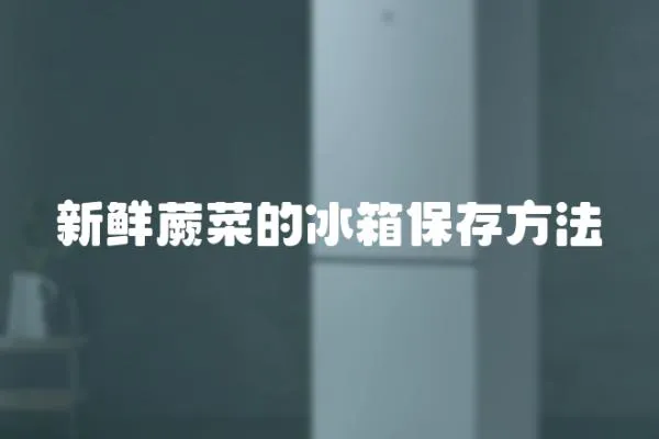 新鮮蕨菜的冰箱保存方法