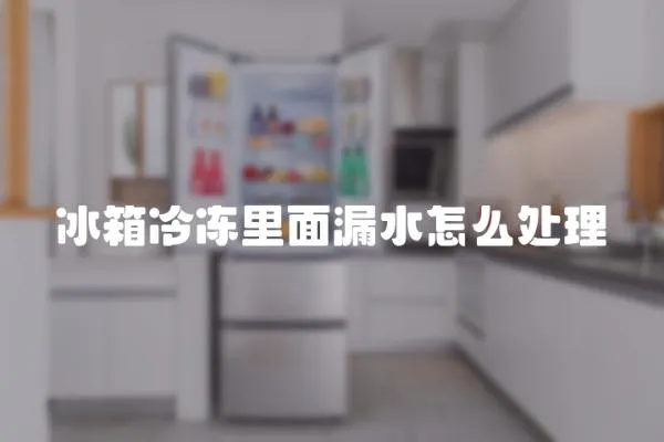冰箱冷凍里面漏水怎么處理