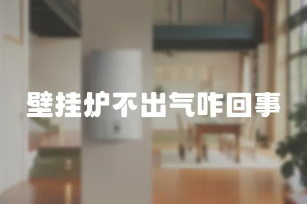 壁掛爐不出氣咋回事
