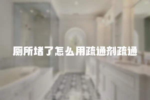 廁所堵了怎么用疏通劑疏通