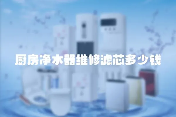 廚房凈水器維修濾芯多少錢