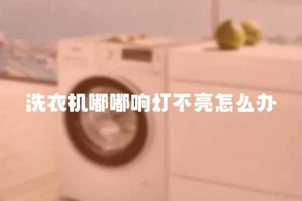 洗衣機嘟嘟響燈不亮怎么辦
