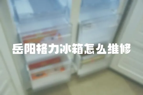 岳陽格力冰箱怎么維修