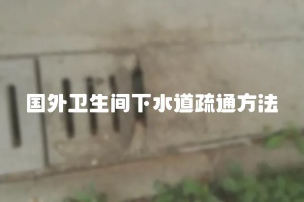 國外衛生間下水道疏通方法