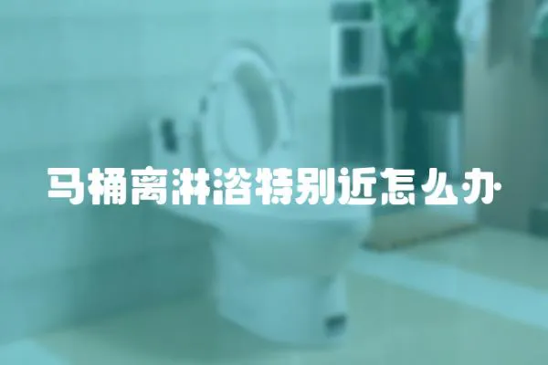 馬桶離淋浴特別近怎么辦