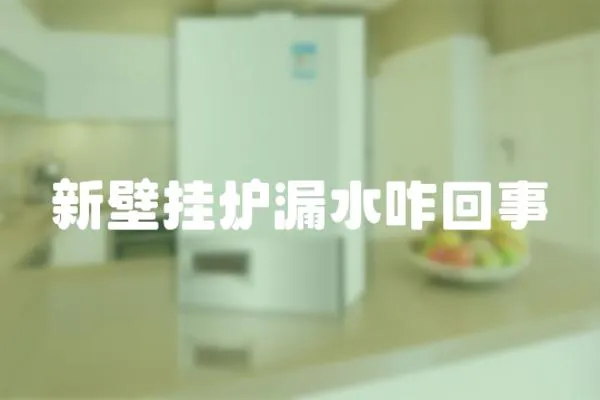 新壁掛爐漏水咋回事