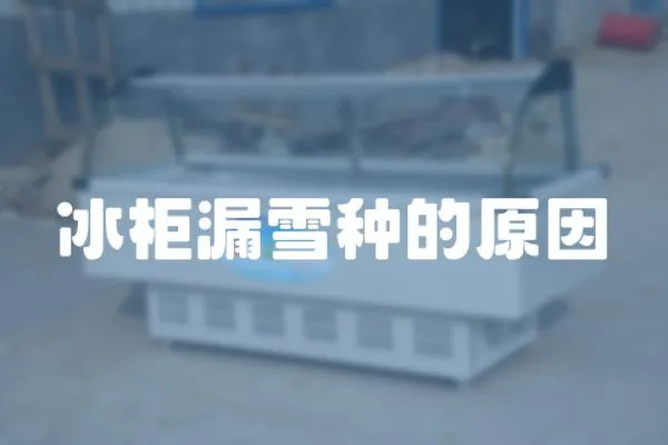 冰柜漏雪種的原因