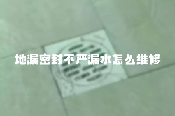 地漏密封不嚴(yán)漏水怎么維修
