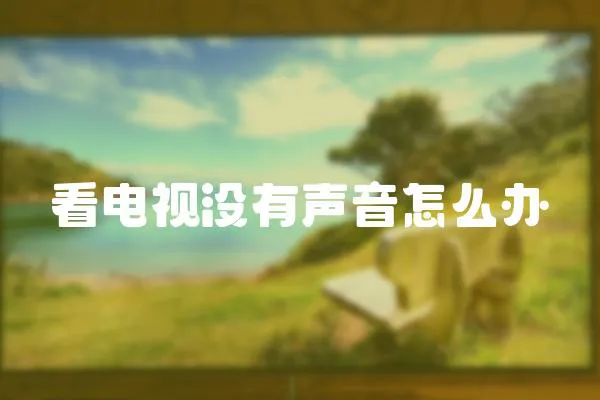 看電視沒有聲音怎么辦