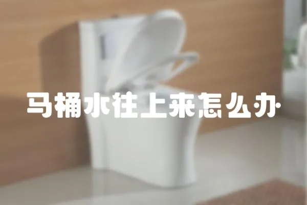 馬桶水往上來怎么辦