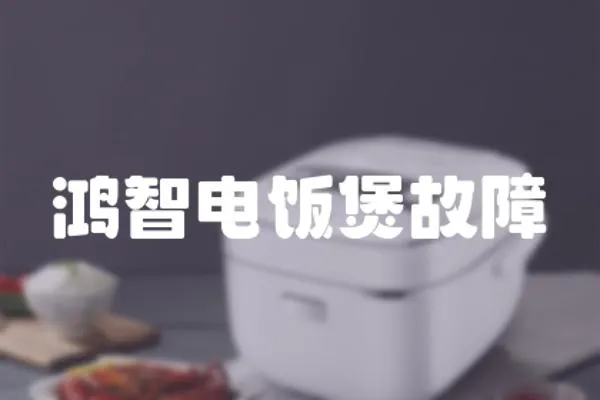 鴻智電飯煲故障
