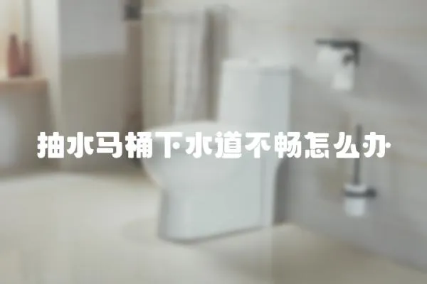 抽水馬桶下水道不暢怎么辦
