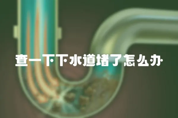 查一下下水道堵了怎么辦