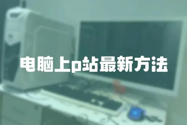 電腦上p站最新方法