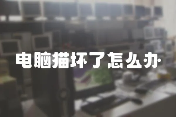 電腦貓壞了怎么辦