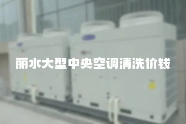 麗水大型中央空調清洗價錢