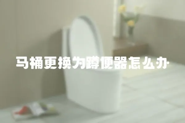 馬桶更換為蹲便器怎么辦