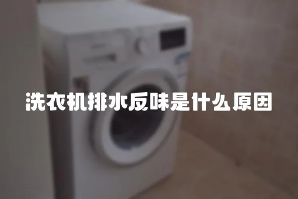 洗衣機排水反味是什么原因