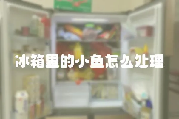 冰箱里的小魚怎么處理
