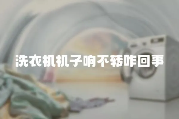 洗衣機機子響不轉咋回事