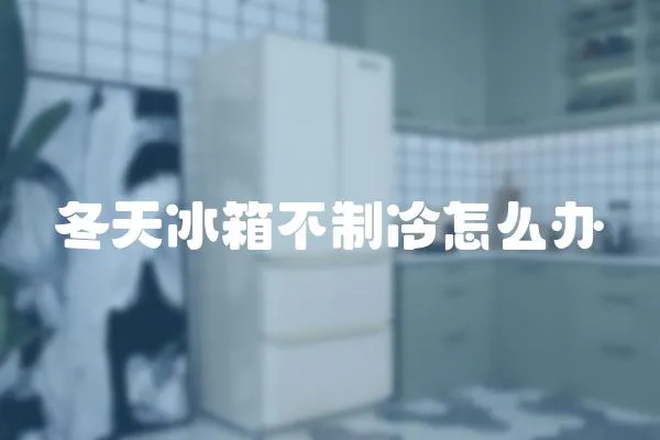 冬天冰箱不制冷怎么辦
