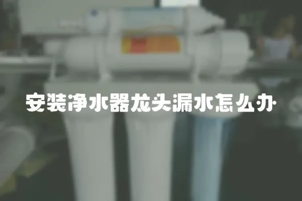 安裝凈水器龍頭漏水怎么辦