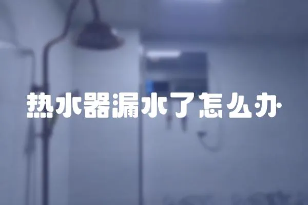 熱水器漏水了怎么辦