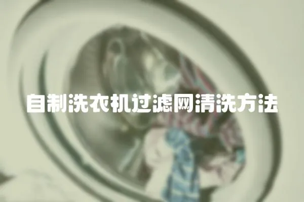 自制洗衣機過濾網清洗方法