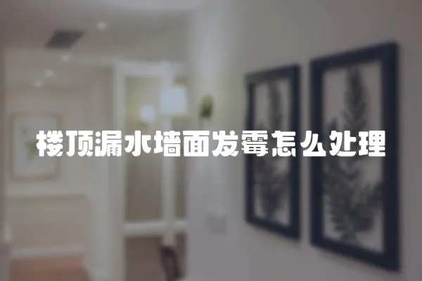 樓頂漏水墻面發霉怎么處理