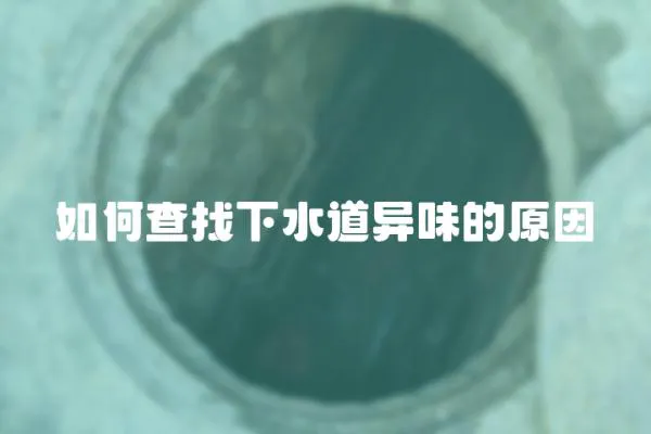 如何查找下水道異味的原因