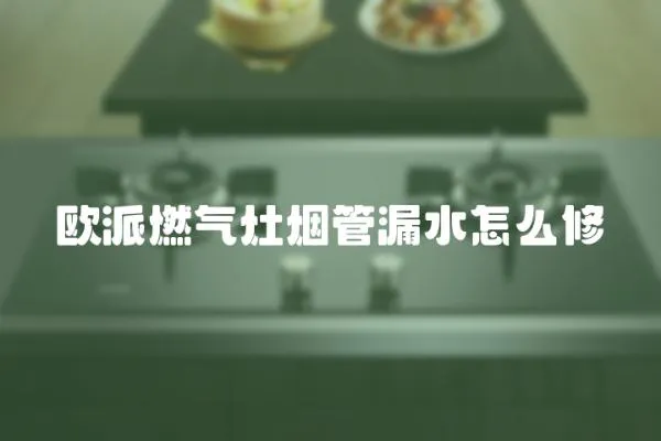 歐派燃氣灶煙管漏水怎么修