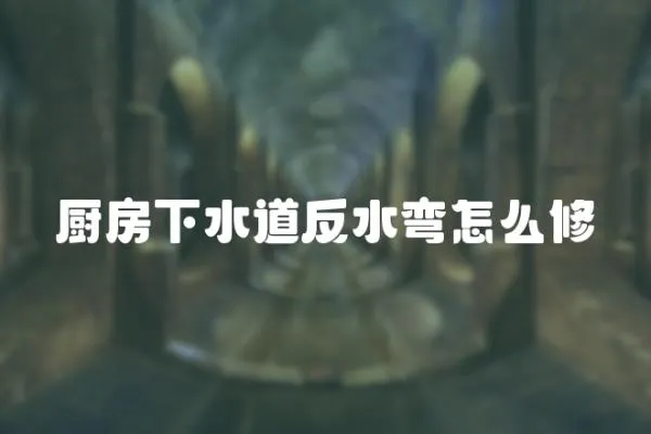 廚房下水道反水彎怎么修