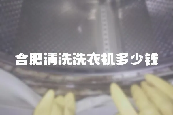 合肥清洗洗衣機(jī)多少錢