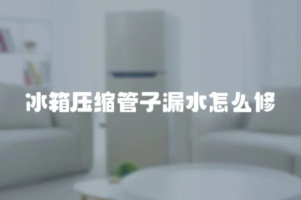 冰箱壓縮管子漏水怎么修