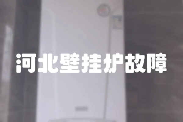 河北壁掛爐故障