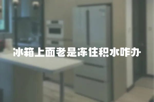 冰箱上面老是冻住积水咋办