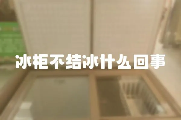 冰柜不結冰什么回事