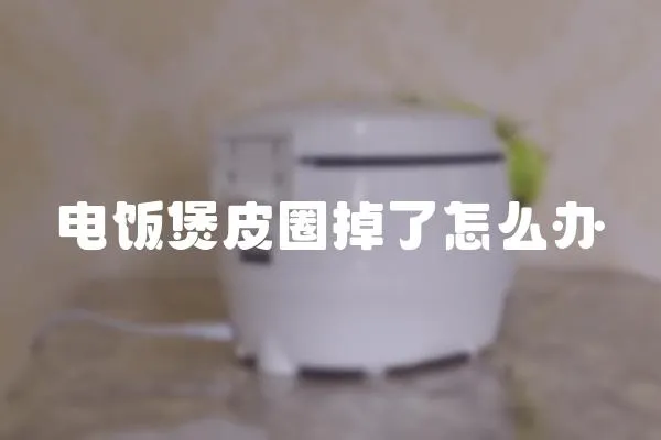 電飯煲皮圈掉了怎么辦