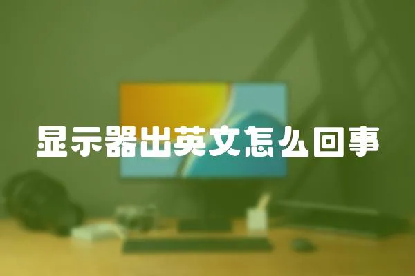 顯示器出英文怎么回事