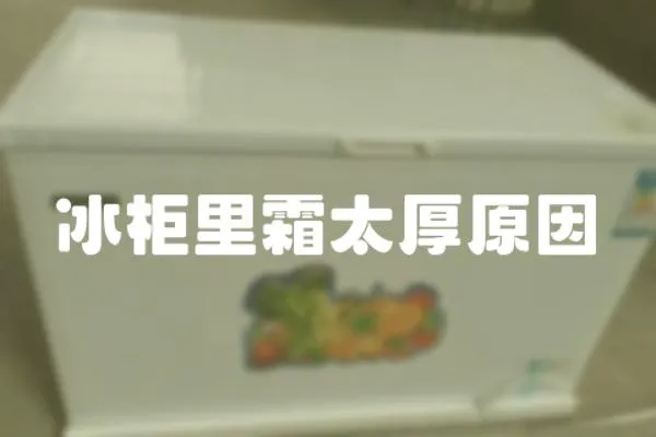 冰柜里霜太厚原因